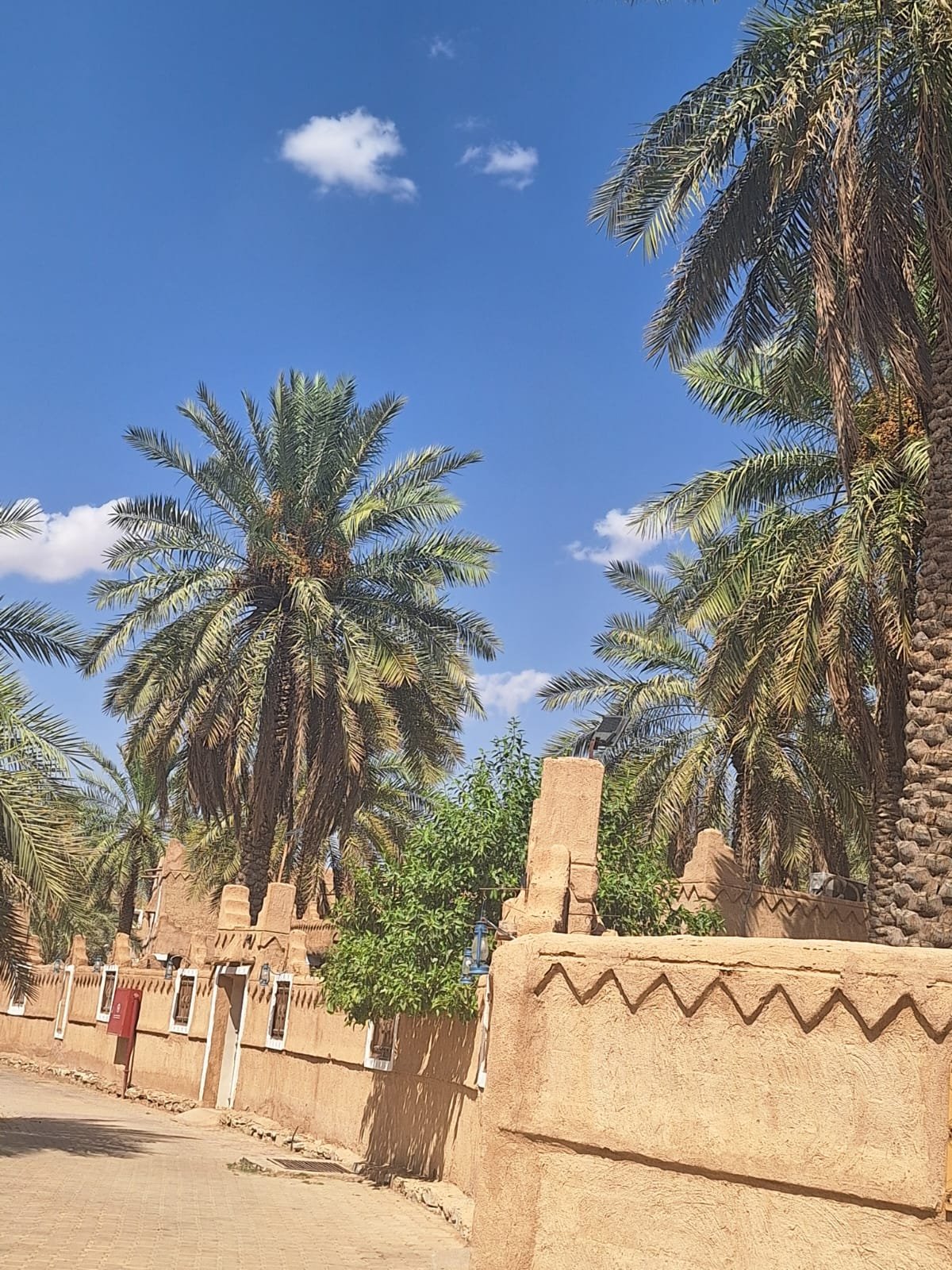 عنيزة
